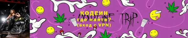 мдпв Горнозаводск