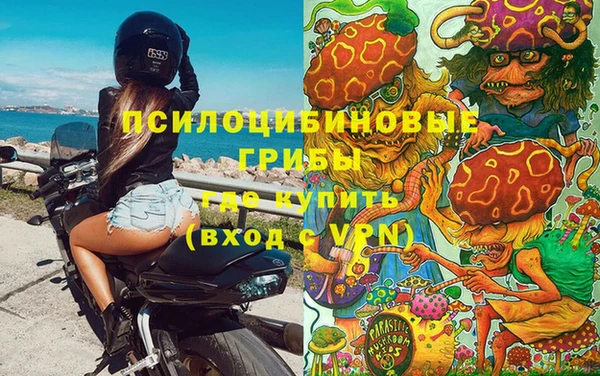 МДПВ Вязники