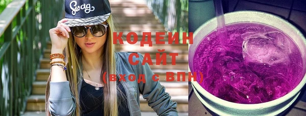 мдпв Горнозаводск