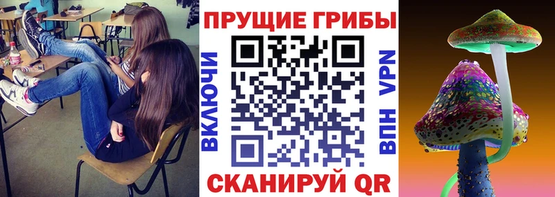 Галлюциногенные грибы ЛСД Зеленогорск