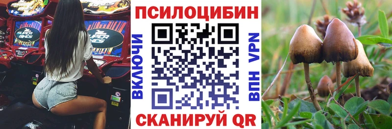 Галлюциногенные грибы мицелий  гидра маркетплейс  Зеленогорск 